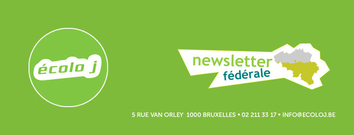 Banner Newsletter Federale