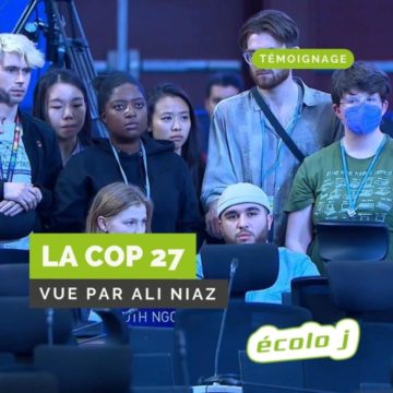 La COP27 Par Ali Niaz
