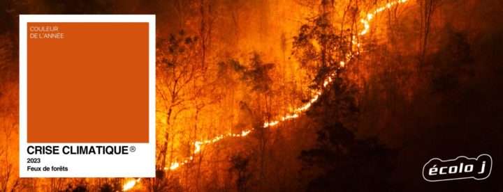 crise climatique feux de forêt écolo j