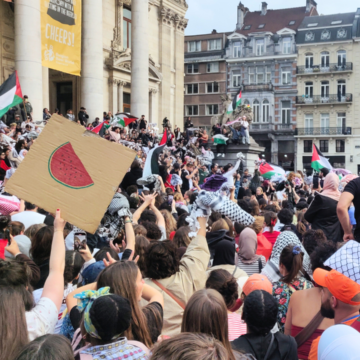 Manif freedom flotilla bruxelles