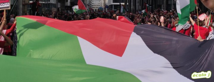 Rejoindre GT Palestine