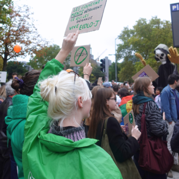 manifestation contre arizona 14 octobre 2025